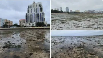 'Extremely dangerous' eyewall of Hurricane Ian moving onshore: US forecaster