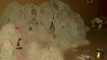 Termite Mound Housing 2 Cobras