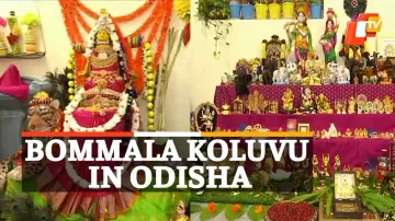 Bommala Koluvu, Dussehra, Telugu Community In Berhampur