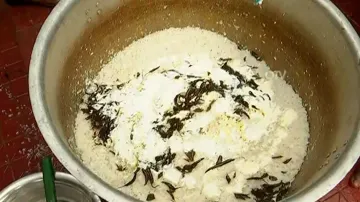 'Dahi Pakhala' offered to Goddess Durga; Know the significance