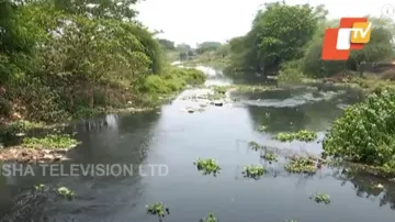 Toxic river water in Odisha