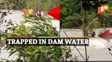  Dam Water, Traps 10 Persons 