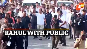 RahulGandhi, BharatJodoYatra