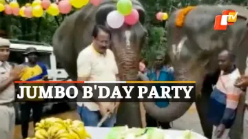 Jumbo B'Day Party
