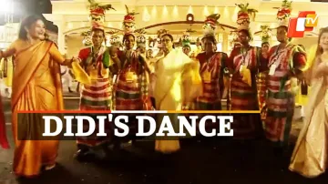 Mamata Banerjee, Durga Puja Carnival