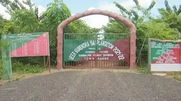  Dense forest in Sambalpur