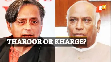 Congress President Election, Mallikarjun Kharge, Shashi Tharoor