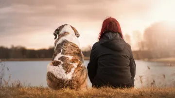 Dogs, a life-time affair