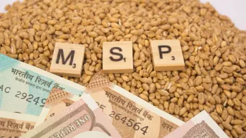 Centre hikes MSP for Rabi crops
