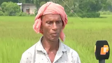 Cyclonic storm Sitrang fear grips paddy farmers in Balasore