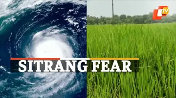 Sitrang Fear
