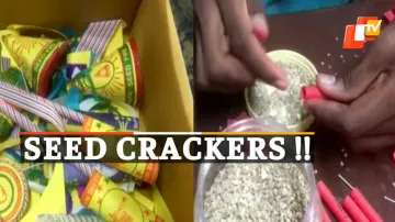 Eco-Friendly Diwali, Plantable Crackers