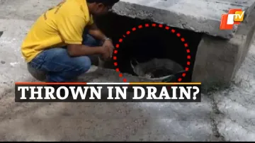 Newborn Girl, Bhima Bhoi Medical College, Odisha