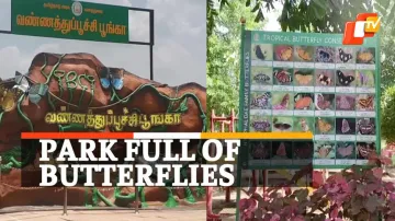 Tropical Butterfly Conservatory, TBCT