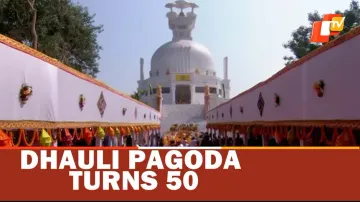 DHAULI PAGODA TURNS 50
