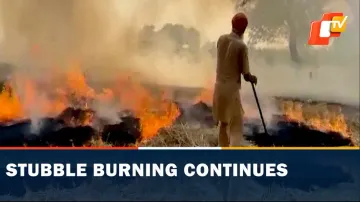 Stubble Farming, Bathinda, Farm Fires, Air Pollution, Punjab, OTV News 