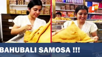 Samosa, Meerut Restaurant