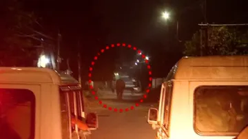 Tusker strays into Odisha capital after triggering panic in Pipili, tranquilised