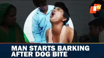 Barking Man, Bitten By Dog