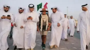 Saudi Arabian fan 