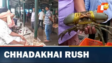 Chhadakhai, Chhadakhai Rush, Odisha, OTVNews 