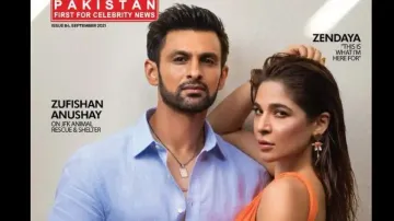 Sania Mirza posts new Insta pic amid divorce reports with Shoaib Malik