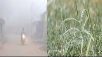 Cold Conditions In Odisha