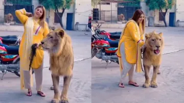 Woman takes lion on walk