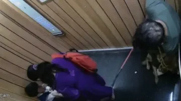 Owner fined Rs 10,000 after his dog bites child