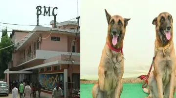 Bhubaneswar Municipal Corporation