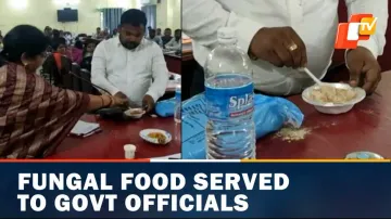 Sambalpur, Viral Video, Chhatua, BDO, Odisha, Panchayat Meeting