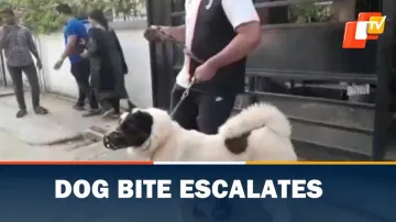 Dog Bite, Bhubaneswar