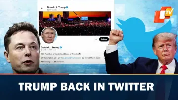 Donald Trump, Elon Musk, Twitter