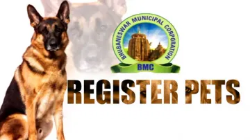 Living with pet and stray dogs in Bhubaneswar