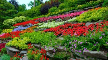 Flower Garden