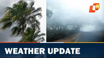 IMD,Weather,Weather Update, Winter Chill, Cold Wave