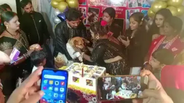 Family throws lavish party to celebrate pet dog’s birthday – Watch video