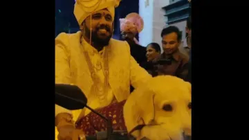 Groom makes grand entry with pet dog on wedding day, Watch adorable video