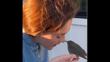 Sweet interaction between little bird and girl goes viral; Watch