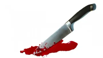 Man chops off 15-year-old son's hands, kills him for discovering illicit affair