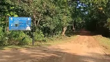 Similipal jumbo poaching: 3 forest staff arrested after HC rap