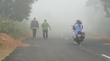  Fog Alert