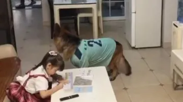 Dog reminds little girl to do homework as father arrives at home; Watch 