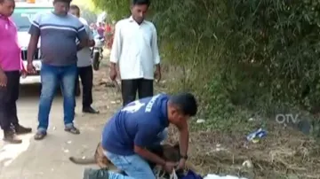 Police taking help of sniffer dog in the search operation