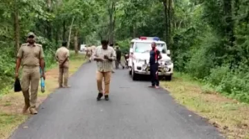 Chargesheet in Similipal elephant poaching witness death case soon: Forest dept to HC
