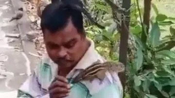 Man’s kind gesture for birds, squirrels is the best thing on internet today – Watch video