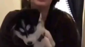 This pet dog can sing and speak; video will make you go ROFL