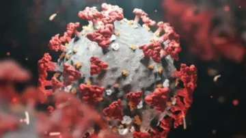 BF.7 is Omicron with mutations, won't lead to severe disease: Experts