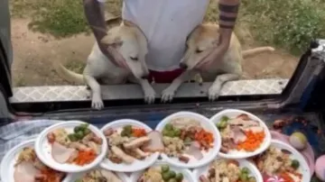 Real-life Santa Claus celebrates Christmas with street dogs, video will melt your heart