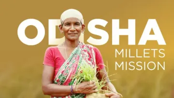 Millet promotion must, but Odisha also needs homegrown Onion, Potato and Drum-Sticks more urgently